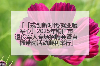 「戎创新时代·就业暖军心」2025年铜仁市退役军人专场招聘会暨直播带岗活动顺利举行