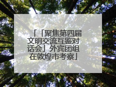 「聚焦第四届文明交流互鉴对话会」外宾团组在敦煌市考察