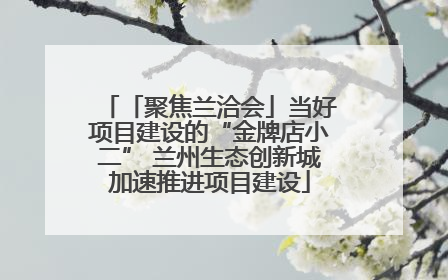 「聚焦兰洽会」当好项目建设的“金牌店小二” 兰州生态创新城加速推进项目建设