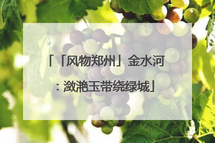 「风物郑州」金水河：潋滟玉带绕绿城