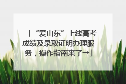 “爱山东”上线高考成绩及录取证明办理服务，操作指南来了→