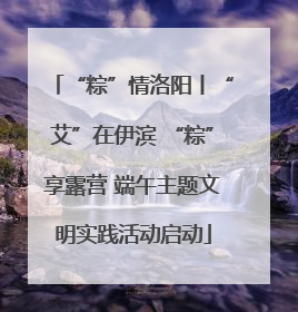 “粽”情洛阳丨“艾”在伊滨 “粽”享露营 端午主题文明实践活动启动