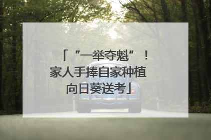 “一举夺魁”！家人手捧自家种植向日葵送考