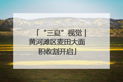 “三夏”视觉｜黄河滩区麦田大面积收割开启