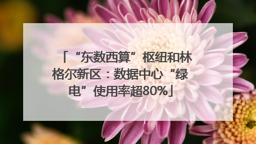 “东数西算”枢纽和林格尔新区：数据中心“绿电”使用率超80%