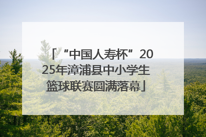 “中国人寿杯”2025年漳浦县中小学生篮球联赛圆满落幕