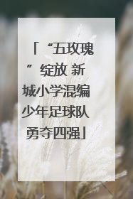 “五玫瑰”绽放 新城小学混编少年足球队勇夺四强