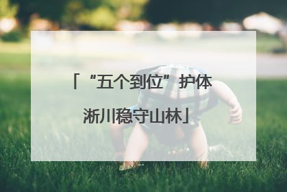 “五个到位”护体 淅川稳守山林