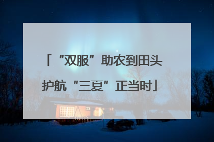 “双服”助农到田头 护航“三夏”正当时