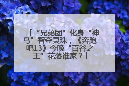 “兄弟团”化身“神鸟”智夺灵珠，《奔跑吧13》今晚“百谷之王”花落谁家？
