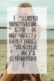 “公路惊现鸵鸟狂飙”后续：养殖户称它与同类打闹后“离家出走”，跑了1公里被找回