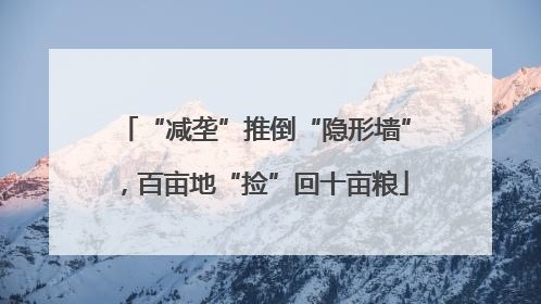 “减垄”推倒“隐形墙”，百亩地“捡”回十亩粮