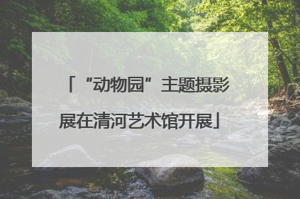 “动物园”主题摄影展在清河艺术馆开展