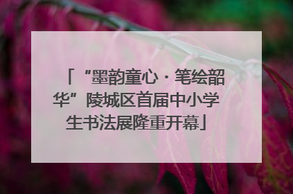 “墨韵童心・笔绘韶华”陵城区首届中小学生书法展隆重开幕