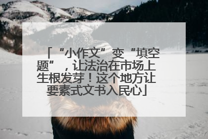“小作文”变“填空题”，让法治在市场上生根发芽！这个地方让要素式文书入民心