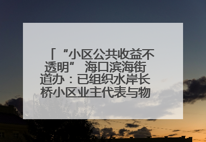 “小区公共收益不透明” 海口滨海街道办：已组织水岸长桥小区业主代表与物业进行座谈