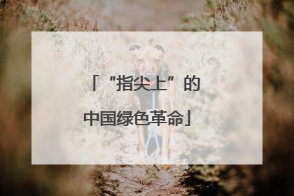 “指尖上”的中国绿色革命