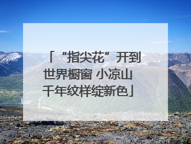“指尖花”开到世界橱窗 小凉山千年纹样绽新色