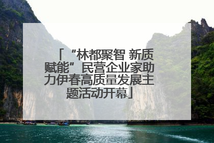 “林都聚智 新质赋能”民营企业家助力伊春高质量发展主题活动开幕