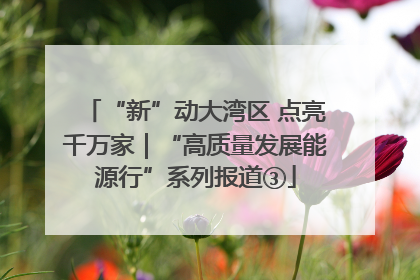 “新”动大湾区 点亮千万家｜“高质量发展能源行”系列报道③
