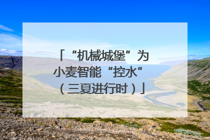 “机械城堡”为小麦智能“控水”（三夏进行时）