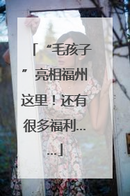“毛孩子”亮相福州这里！还有很多福利……