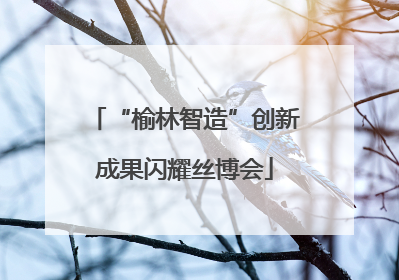 “榆林智造”创新成果闪耀丝博会