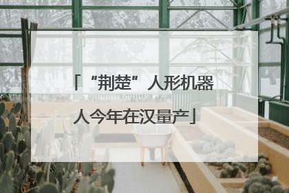 “荆楚”人形机器人今年在汉量产