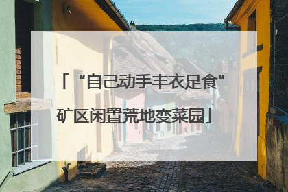 “自己动手丰衣足食”矿区闲置荒地变菜园