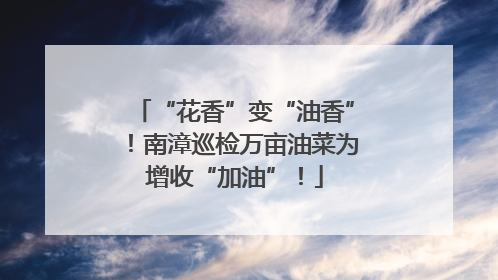 “花香”变“油香”！南漳巡检万亩油菜为增收“加油”！