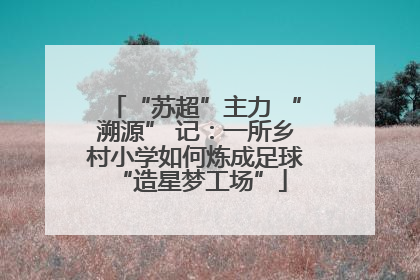 “苏超”主力 “溯源” 记：一所乡村小学如何炼成足球 “造星梦工场”