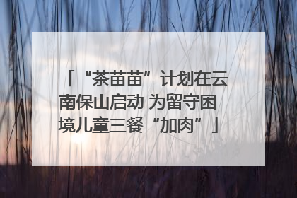 “茶苗苗”计划在云南保山启动 为留守困境儿童三餐“加肉”