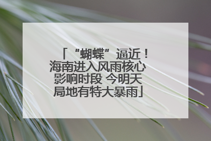 “蝴蝶”逼近！海南进入风雨核心影响时段 今明天局地有特大暴雨