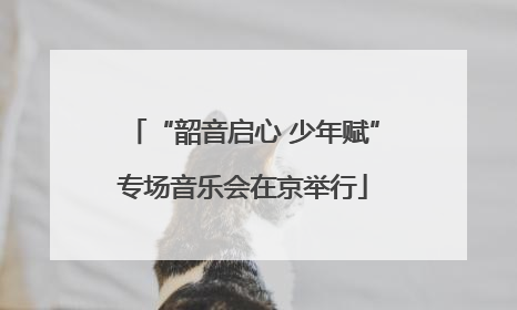 “韶音启心 少年赋”专场音乐会在京举行