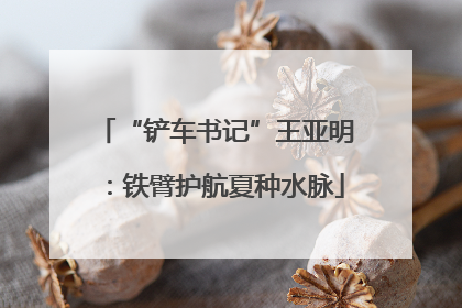 “铲车书记”王亚明：铁臂护航夏种水脉