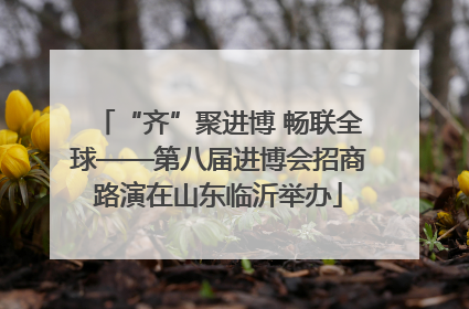 “齐”聚进博 畅联全球——第八届进博会招商路演在山东临沂举办
