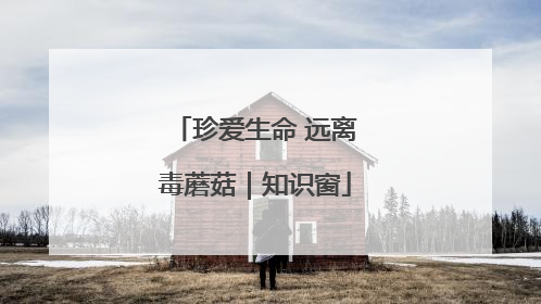 珍爱生命 远离毒蘑菇｜知识窗