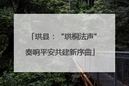 珙县：“珙桐法声”奏响平安共建新序曲