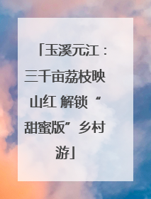 玉溪元江：三千亩荔枝映山红 解锁“甜蜜版”乡村游