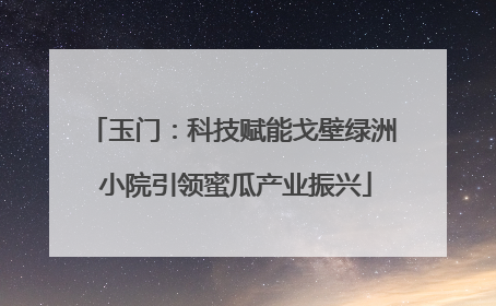 玉门：科技赋能戈壁绿洲 小院引领蜜瓜产业振兴