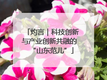 灼言｜科技创新与产业创新共融的“山东范儿”