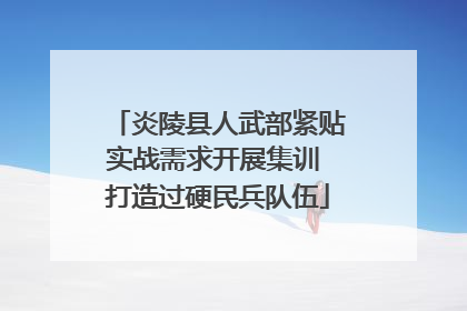 炎陵县人武部紧贴实战需求开展集训 打造过硬民兵队伍
