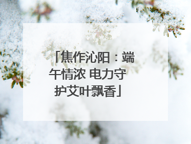 焦作沁阳：端午情浓 电力守护艾叶飘香
