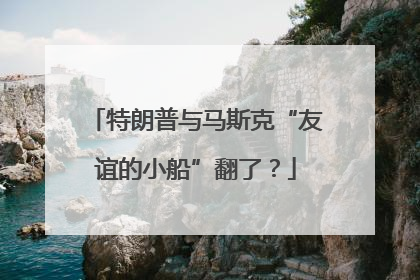特朗普与马斯克“友谊的小船”翻了？