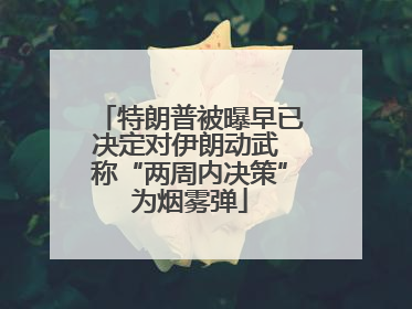 特朗普被曝早已决定对伊朗动武 称“两周内决策”为烟雾弹