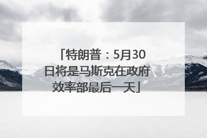 特朗普：5月30日将是马斯克在政府效率部最后一天