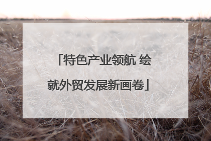 特色产业领航 绘就外贸发展新画卷