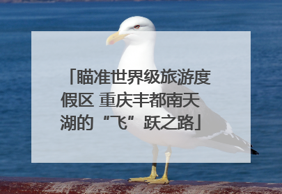 瞄准世界级旅游度假区 重庆丰都南天湖的“飞”跃之路