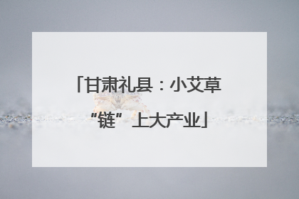甘肃礼县：小艾草“链”上大产业