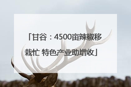 甘谷：4500亩辣椒移栽忙 特色产业助增收